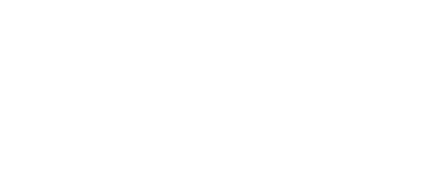 Flare Logo Negative